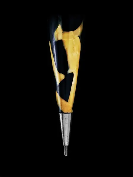 Sir Paul Smith's pencil, photographed by Alex Hammond and Mike Tinney (photo 1 of 2)
