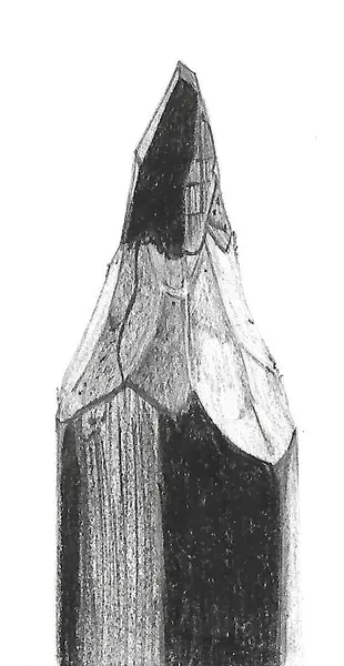 Pencils draw pencils — image 1